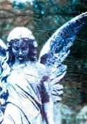 Image of Pack of 4 angel cards (Angel 07), blank inside