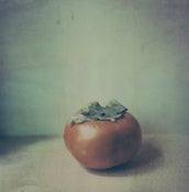 Image of "Persimmon"