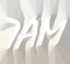 Image of Teengirl Fantasy  - 7AM (12" Vinyl)