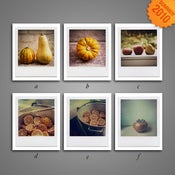 Image of Mini-Prints (Summer Edition 2010)