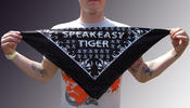 Image of Tiger Bandana