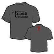 Image of Grey "Logo" T-Shirt