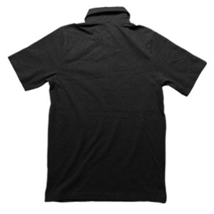 Image of Polo Back