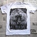 Image of Lion For A Day