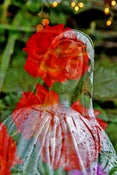 Image of Mary with John's Orange Roses and Lights note card