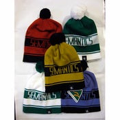 Image of (assorted)team beanies