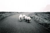 Image of along the way