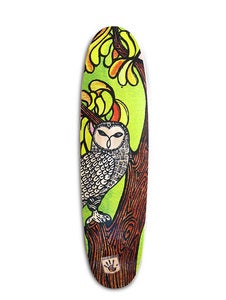 Image of The OWL ZINGER LTD.