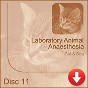 Image of Laboratory Animal Anaesthesia - Cat & Dog