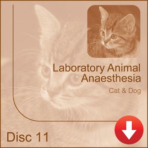 Image of Laboratory Animal Anaesthesia - Cat & Dog