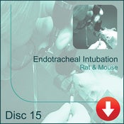 Image of Endotracheal Intubation - Rat & Mouse