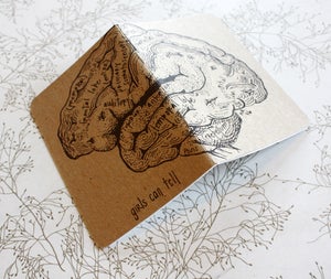 Image of clever anatomical brain pocket notebook