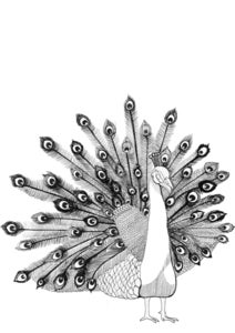 Image of Thursday's Peacock High Quality Hahnemuhle Print 