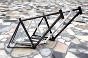 Image of InFamous 700CMX Trix Frame