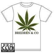 Image of BREDREN & CO LION T