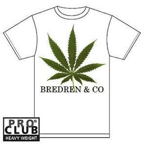 Image of BREDREN & CO LION T