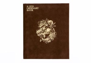 Image of A Less Ordinary Book