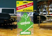 Image of Office Tree