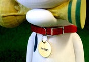 Image of Pickles the Dog