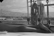 Image of "120 Feet" by Cynthia Loebe
