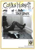 Image of A3 Tiny Spark Poster