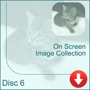 Image of On-Screen Image Collection