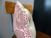 Image of coussin