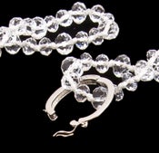 Image of Removable Clasp