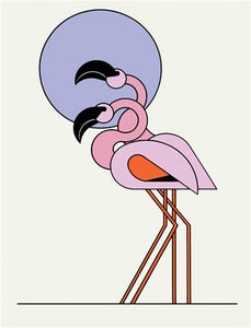 Image of Clifford Richards <br> Flamingoes