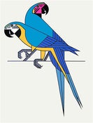 Image of Clifford Richards<br>Parrots
