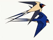 Image of Clifford Richards<br>Swallows