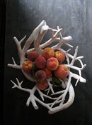 Image of Large Branch Bowl
