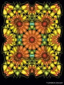 Image of Flower in the Sun