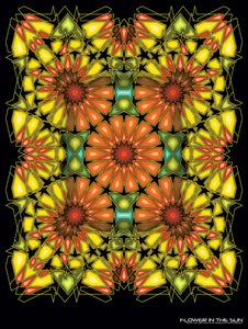 Image of Flower in the Sun