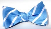 Image of Baby Blue Bow-Tie