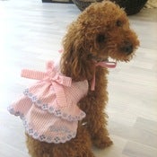 Image of Spaghetti Strap Dress