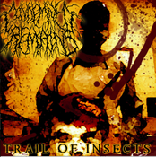Image of Trail of Insects E.P.