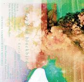 Image of **sold out** blackbird blackbird | Modern + Rarities | 8 songs Cassette | $7 |