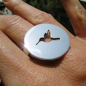 Image of Colibrí  /  Hummingbird 