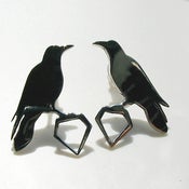 Image of Cuervos y Aguilas / Crows and Eagles