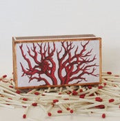 Image of Coral Matchbox