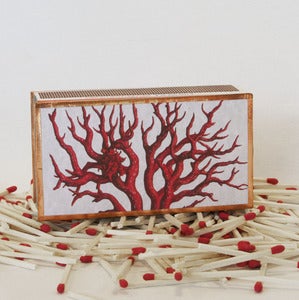 Image of Coral Matchbox
