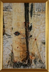 Image of Aspen, Snow, & Rose Hips