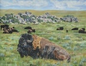 Image of Last of the Winter Coat
