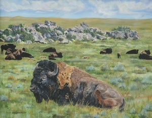 Image of Last of the Winter Coat