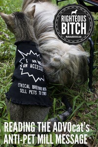 Image of Not Just An Accessory Pet Tee