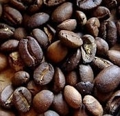 Image of  Civet Coffee (Kopi Luwak) Cat POO Coffee