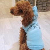 Image of Personalised Sleeveless Hoodie