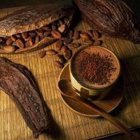 Image of From the bean to the bar with Monsieur Truffe - Discover the chocolate factory