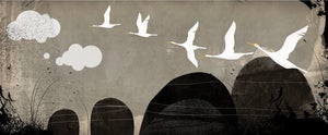 Image of Skein of Geese